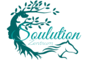 Logo Soulution Zentrum - Dein Zentrum für Tierkommunikation, Beratung und energetische Arbeit
