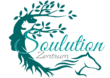 Soulution Zentrum