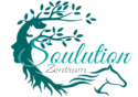 Soulution Zentrum