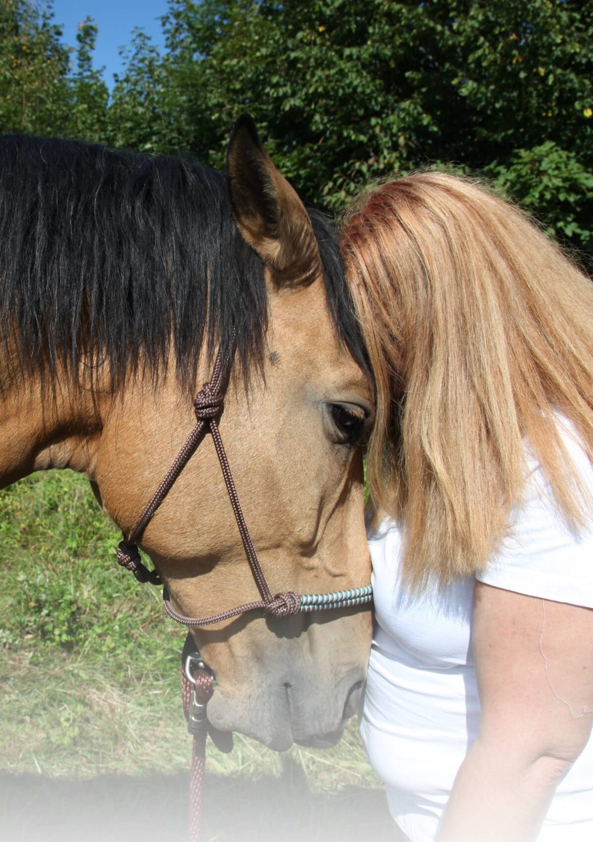 Tierkommunikation und pferdegestützes Coaching im Soulutionzentrum Neumarkt am Wallersee mit Karo - Verbindung durch Körpersprache und Energiearbeit