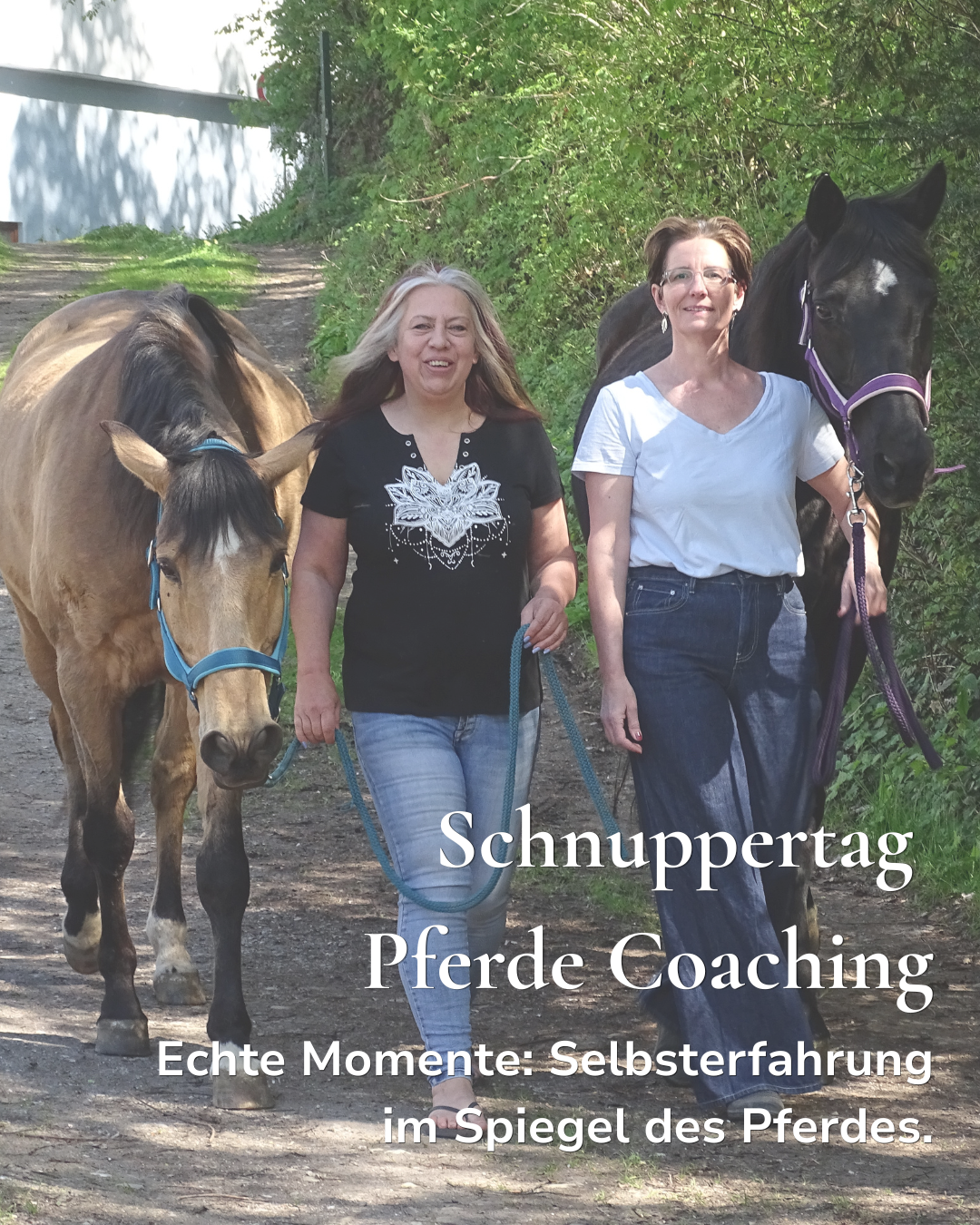 Pferdegestützes Coaching