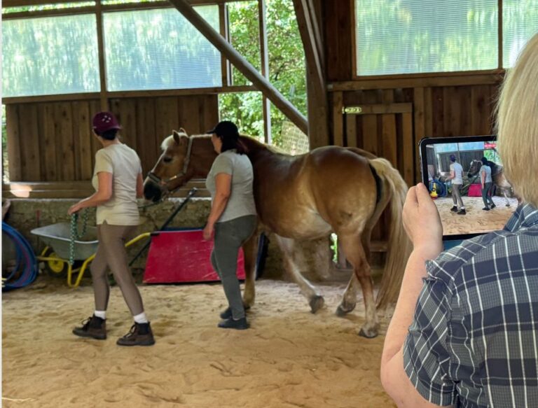 Horse Assisted Leadership Training: Führungskräfte-Coaching und authentische Kommunikation durch die Resonanz der Pferde im SoulutionZentrum.